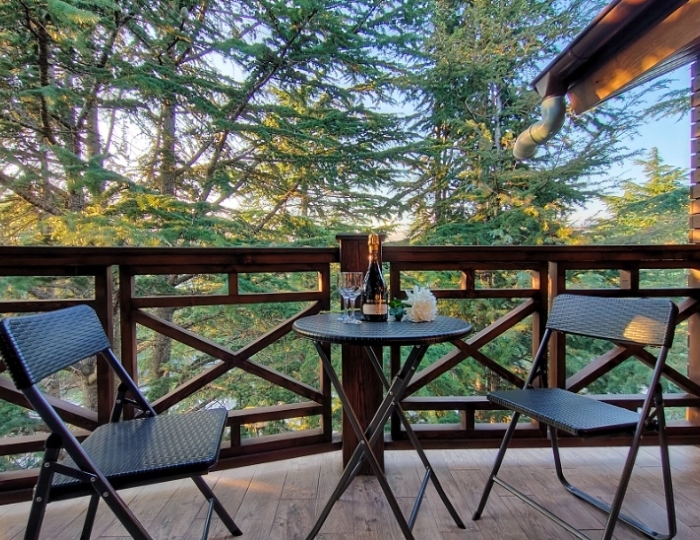 Отель «Art Hotel на Октябрьской» Цандрипш